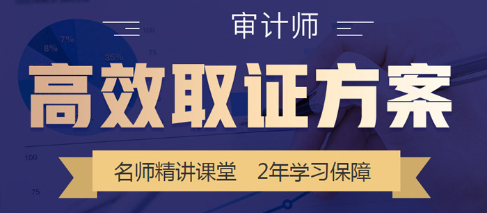 审计师考试高效取证方案